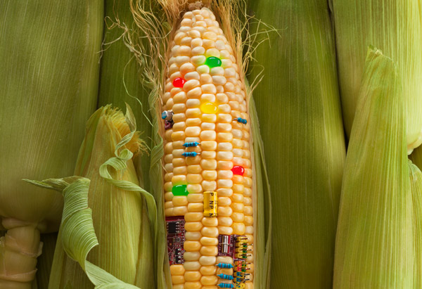 10 Things You Never Knew About GM Foods