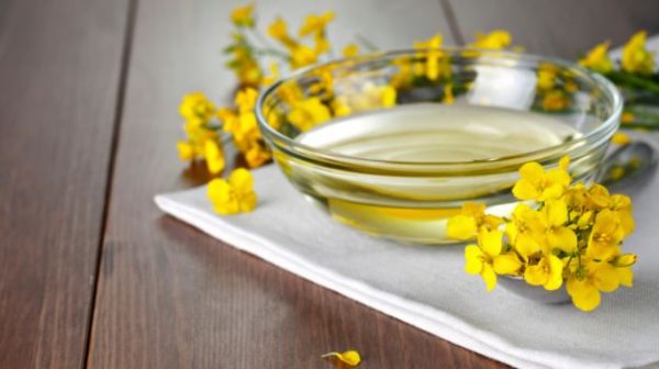 Can the Right Kind of Canola Oil be a Health Food?