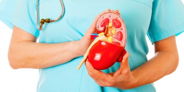 Can High-Protein Diets Damage Your Kidneys?