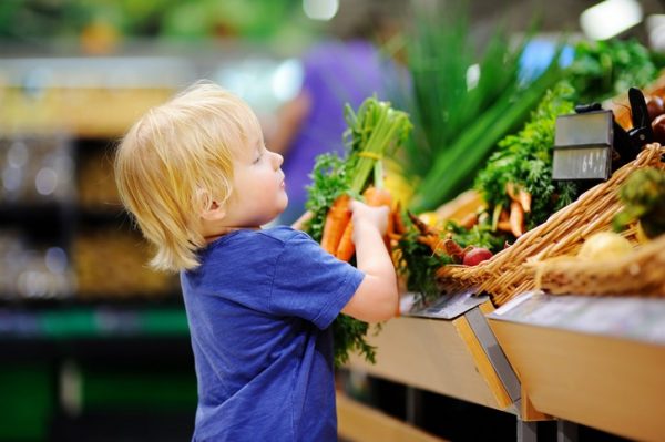 The Double-Edged Sword of GMOs