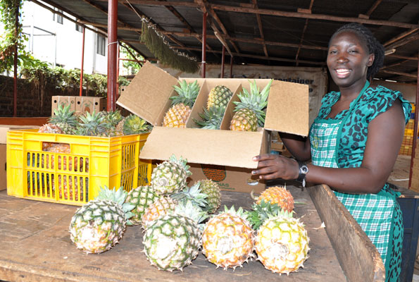 Is Uganda ready for GMOs?