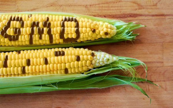 GMO’s Are In Our Food, But We Aren’t Being Told About Them