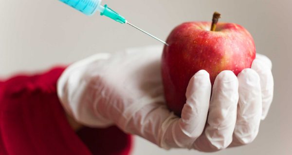 Why Haven’t Genetically Engineered Crops Made Food Better?