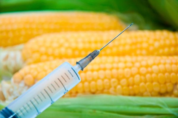 EU Authorizes 10 Genetically Modified Products