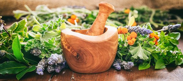 Wellness Weekend: Healing with Food