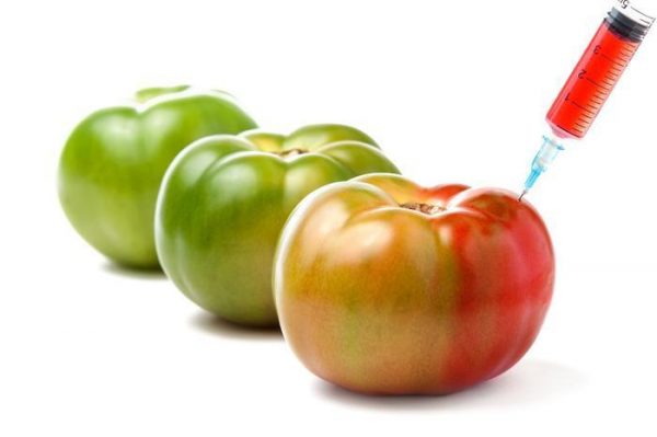 Are You Scared of GMO Foods?