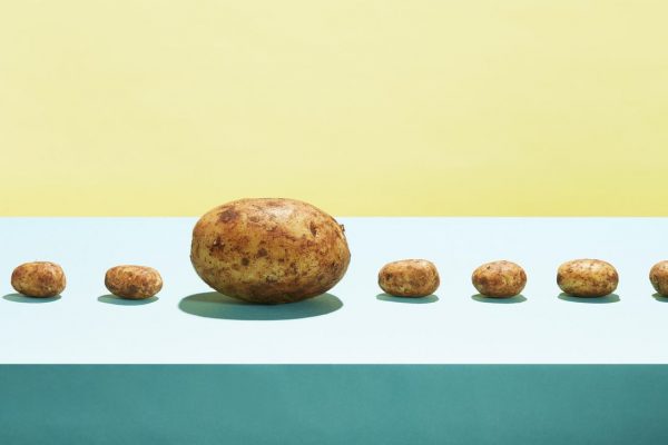 GMOs: What they are, are they safe and which foods have them