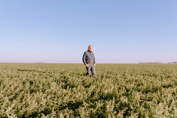 GMOs Are an Ally in a Changing Climate