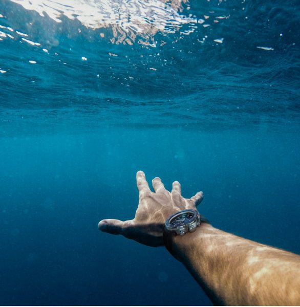 A ‘Wellness Wearable’ on Your Wrist