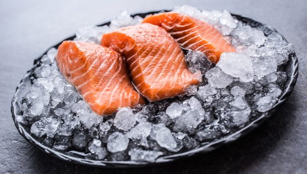 Not ready to eat GMO animals? Then you might not want to order the salmon