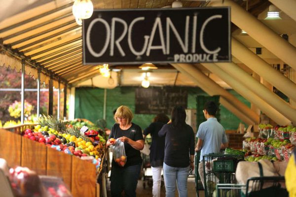 Is organic food really better for you? The hidden truths about your fruit and veggies
