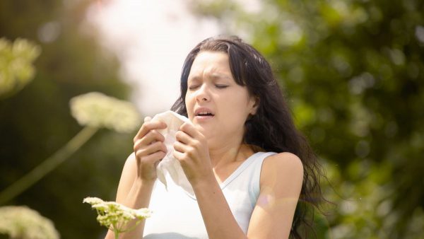 Best hayfever remedies: 8 symptom relievers from natural treatments to nasal sprays