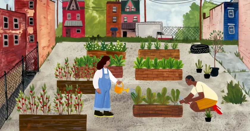 ‘Everything is natural and tastes so good’: microfarms push back against ‘food apartheid’