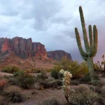 Wellness Retreats Surge in Popularity as U.S. Destinations Rival Global Hotspots