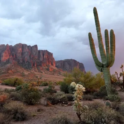 Wellness Retreats Surge in Popularity as U.S. Destinations Rival Global Hotspots