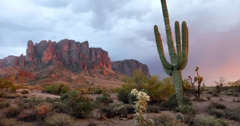 Wellness Retreats Surge in Popularity as U.S. Destinations Rival Global Hotspots